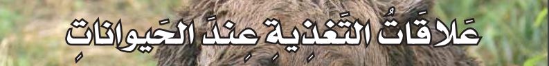 علاقات التغذية عند الحيوانات